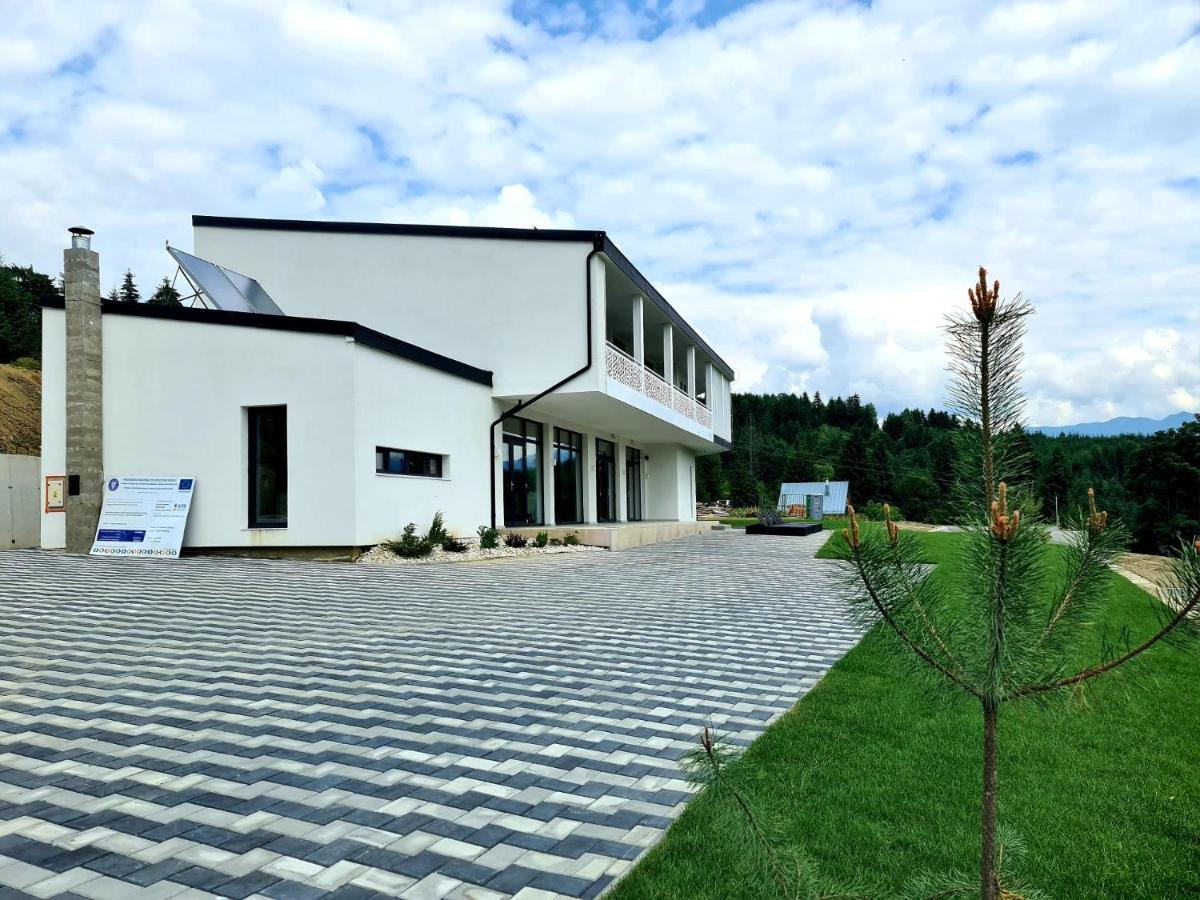 Pensiunea Ddc Colibiţa 外观 照片